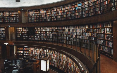 2024-2025 DÖNEMİ TIP FAKÜLTESİ ÖĞRENCİLERİ İÇİN BURS DESTEĞİ